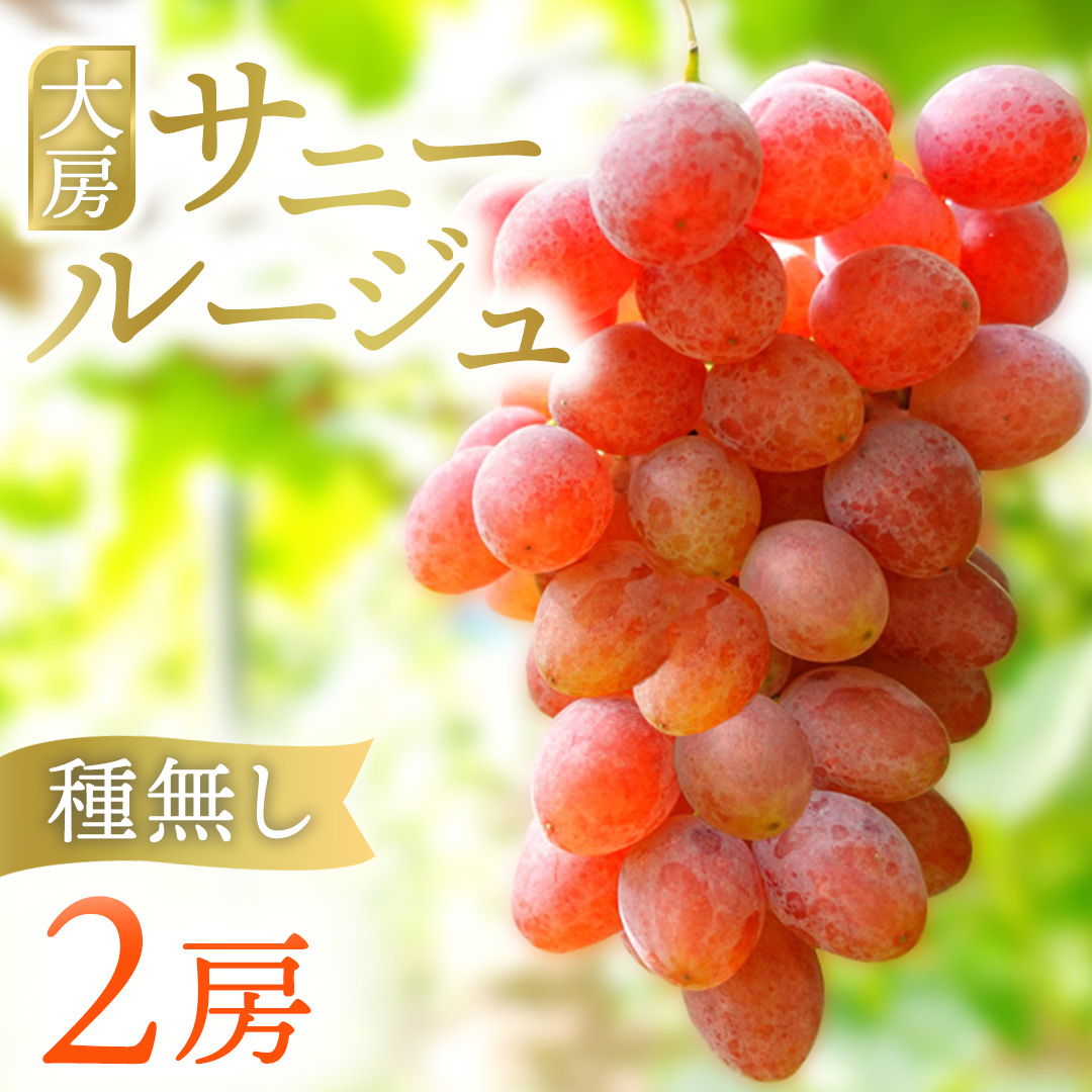 【先行予約】サニールージュ 約1kg ( 2房 ) (AR031) 2026年産 ぶどう 希少品種 8月下旬発送 岩手県 紫波町産 産地直送 フルーツ ギフト 贈答用 数量限定 完熟 甘い 葡萄 ブドウ