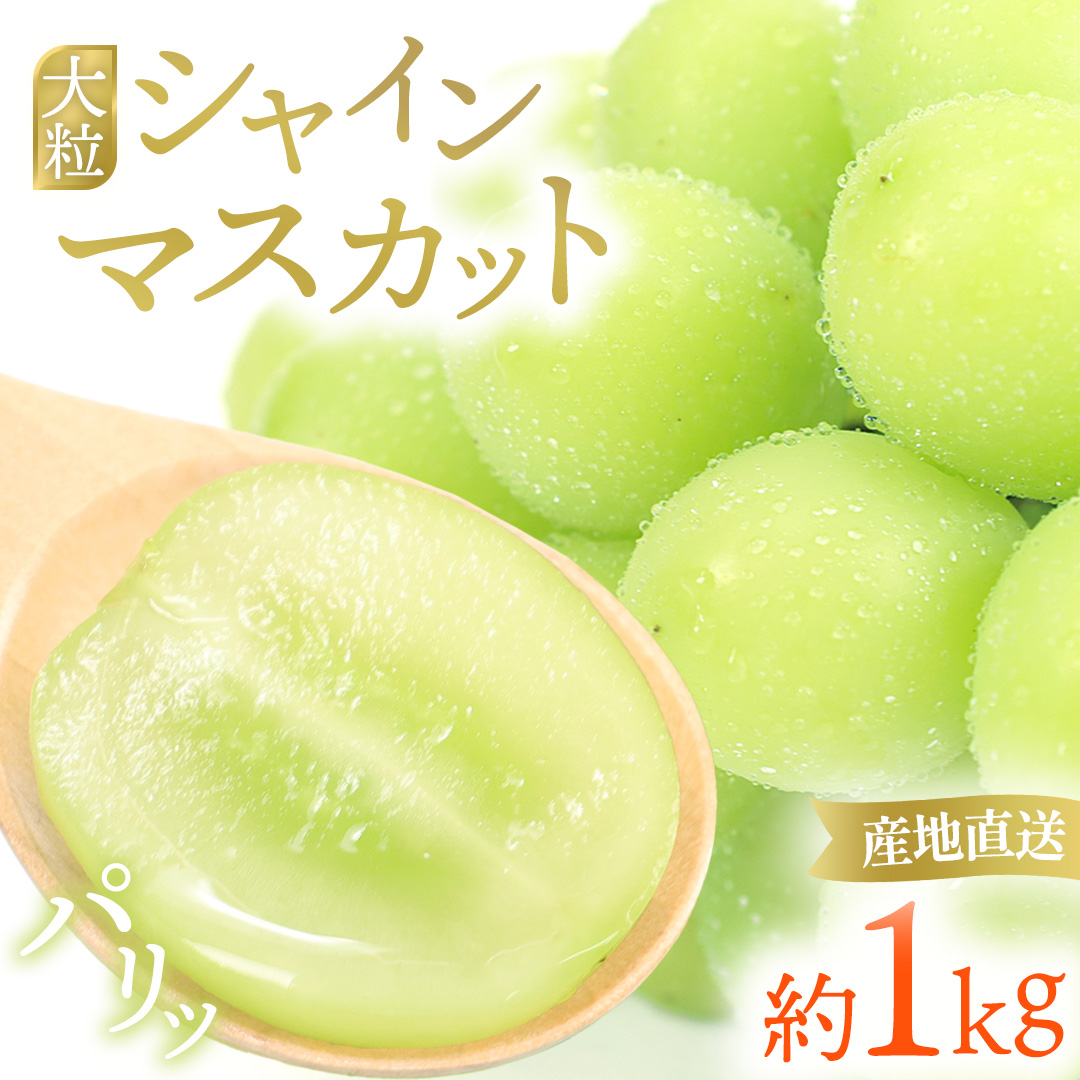 【先行予約】シャインマスカット 約1kg (AR032) 9月下旬発送開始 紫波町産 贈答品 ギフト フルーツ 果物 葡萄 ブドウ ぶどう 2房 高品質 完熟 甘い 新鮮 