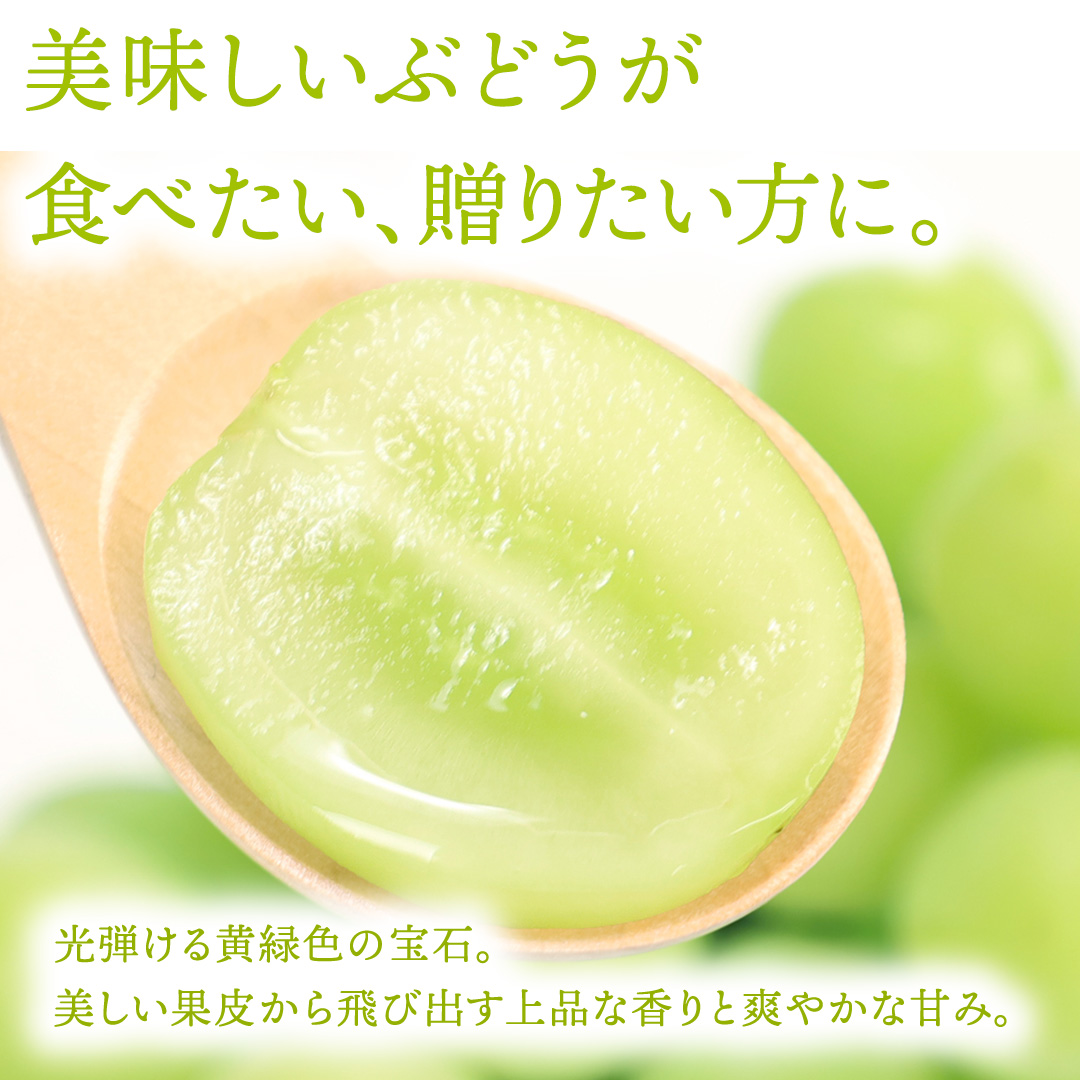 【先行予約】シャインマスカット 約1kg (AR032) 9月下旬発送開始 紫波町産 贈答品 ギフト フルーツ 果物 葡萄 ブドウ ぶどう 2房 高品質 完熟 甘い 新鮮 