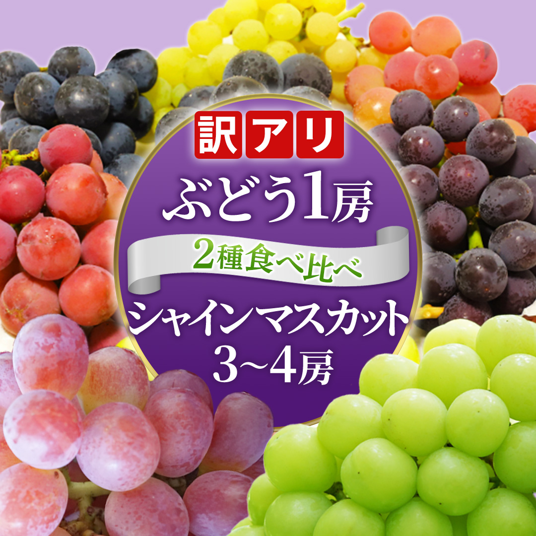 ＼訳あり ご家庭用／シャインマスカット (3～4房) ＆ 種なし 大粒ぶどう (1房) 合計 4～5房入 ブドウ 葡萄 フルーツ 果物 旬 わけあり 先行予約 食べ比べ(DM006)