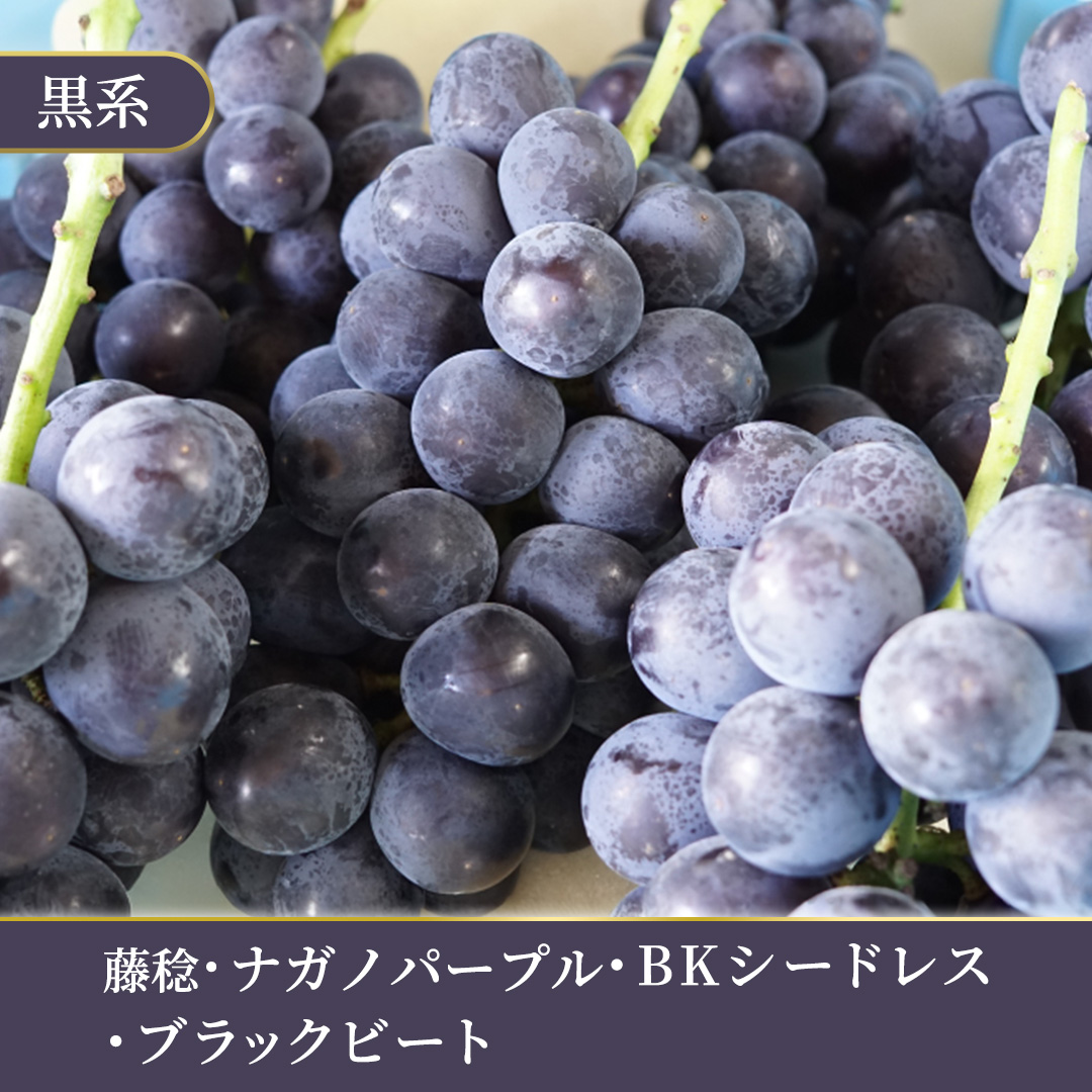 ＼訳あり ご家庭用／シャインマスカット (3～4房) ＆ 種なし 大粒ぶどう (1房) 合計 4～5房入 ブドウ 葡萄 フルーツ 果物 旬 わけあり 先行予約 食べ比べ(DM006)