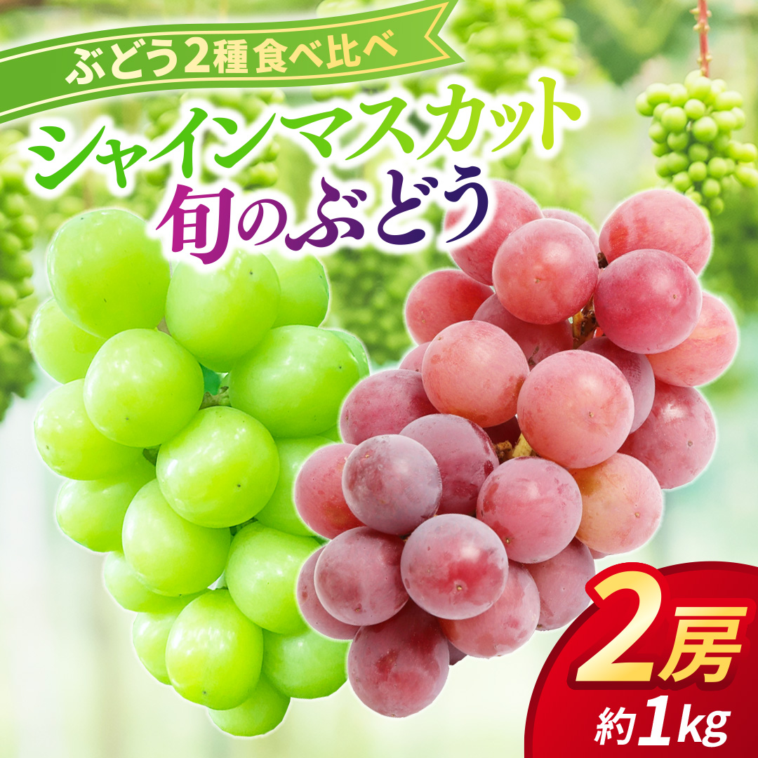 ぶどう食べ比べ 2房（約1kg）旬のぶどう＆シャインマスカット 【2026年9月下旬発送開始】 葡萄 ブドウ セット アソート シャインマスカット 安芸クイーン クイーンニーナ ロザリオロッソ ピオーネ 高妻 藤稔 採れたて 大粒 生産農家直送 農家直送 数量限定 果物 フルーツ 岩手県 (DH005)