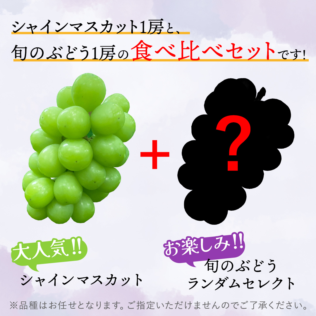 ぶどう食べ比べ 2房（約1kg）旬のぶどう＆シャインマスカット 【2026年9月下旬発送開始】 葡萄 ブドウ セット アソート シャインマスカット 安芸クイーン クイーンニーナ ロザリオロッソ ピオーネ 高妻 藤稔 採れたて 大粒 生産農家直送 農家直送 数量限定 果物 フルーツ 岩手県 (DH005)