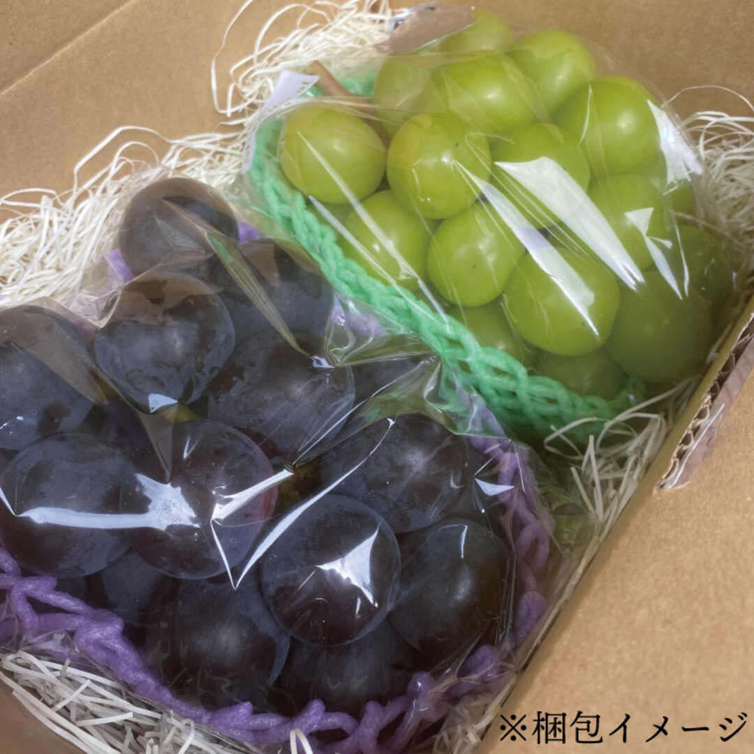 ぶどう食べ比べ 2房（約1kg）旬のぶどう＆シャインマスカット 【2026年9月下旬発送開始】 葡萄 ブドウ セット アソート シャインマスカット 安芸クイーン クイーンニーナ ロザリオロッソ ピオーネ 高妻 藤稔 採れたて 大粒 生産農家直送 農家直送 数量限定 果物 フルーツ 岩手県 (DH005)
