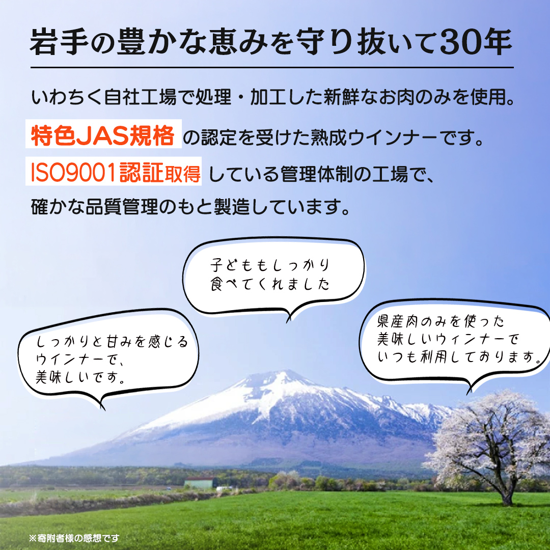 熟成あらびきウィンナー エルンテ・フェスト 合計 84本 ( 7本×12P) セット 岩手県産豚肉 あらびき ウィンナー 人気 粗挽き ジューシー ソーセージ 惣菜 おかず 弁当 おつまみ 朝食 BBQ にもオススメ！ (AB025-2)