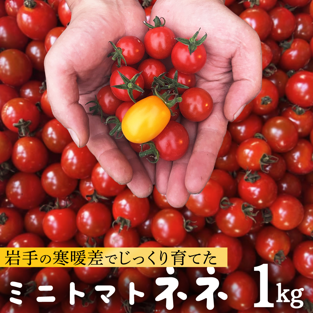 ミニトマト ネネ 1kg とまと トマト ミニ 野菜 フルーツ 1kg 新鮮 夏野菜 産地直送 岩手県 (FF002)