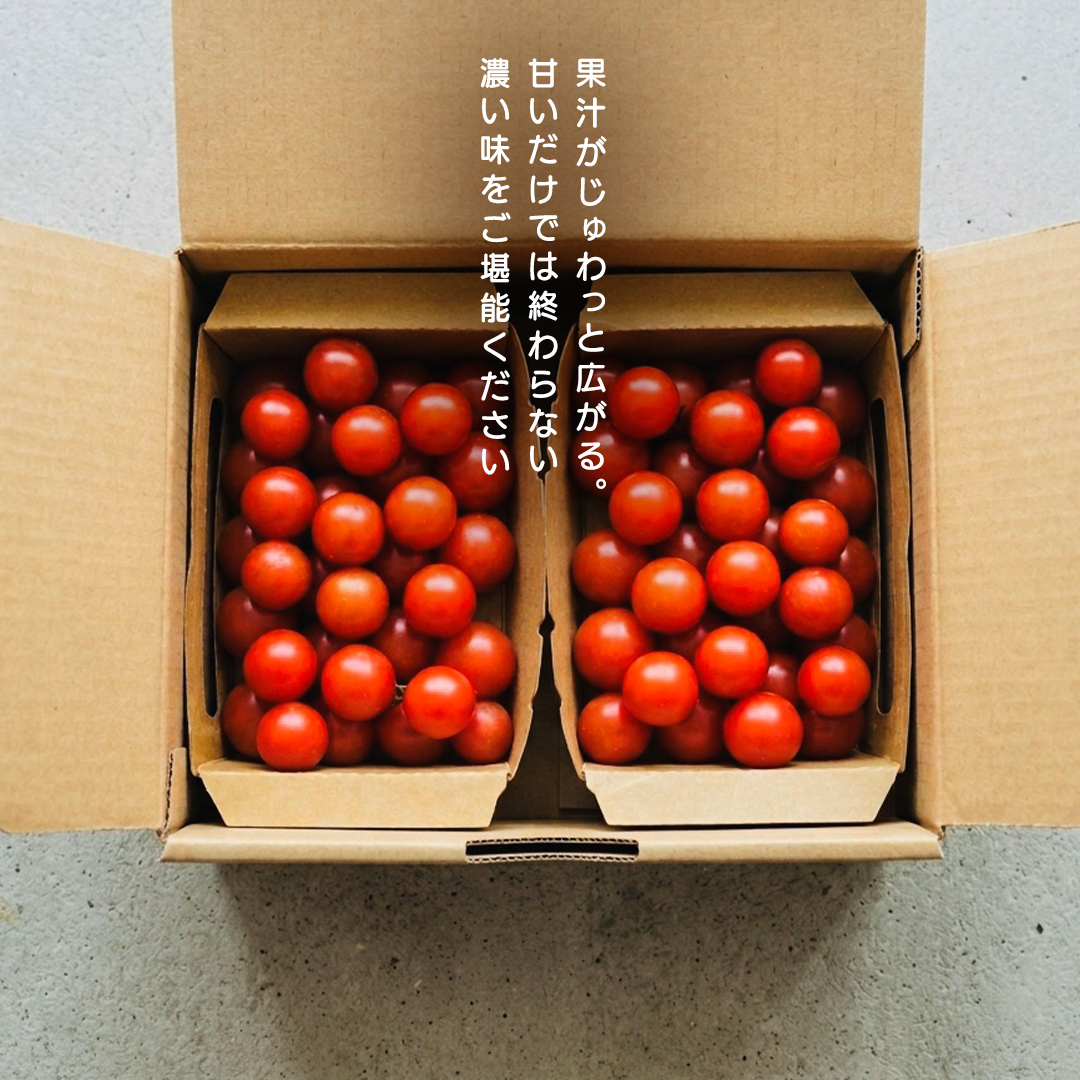 ミニトマト ネネ 1kg とまと トマト ミニ 野菜 フルーツ 1kg 新鮮 夏野菜 産地直送 岩手県 (FF002)