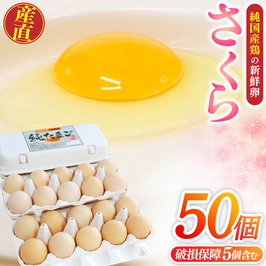純国産鶏【さくら】純たまご 50個入り 破損保証5個を含む たまご 卵 玉子 鶏卵 純たまご 採れたて 新鮮 卵 農地直送 産地直送 岩手県 (AJ035)