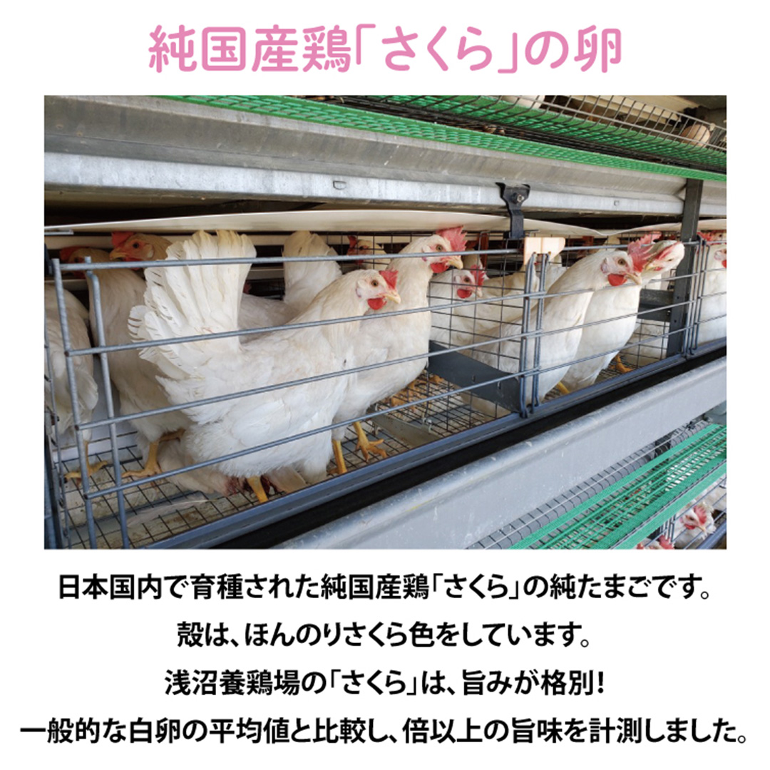 純国産鶏【さくら】純たまご 50個入り 破損保証5個を含む たまご 卵 玉子 鶏卵 純たまご 採れたて 新鮮 卵 農地直送 産地直送 岩手県 (AJ035)