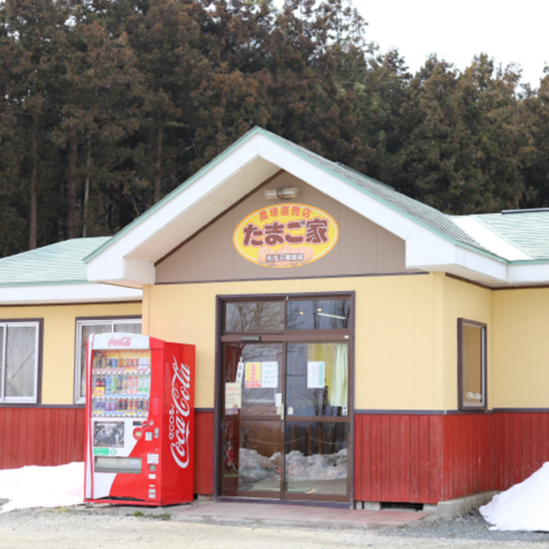 純国産鶏【さくら】純たまご 50個入り 破損保証5個を含む たまご 卵 玉子 鶏卵 純たまご 採れたて 新鮮 卵 農地直送 産地直送 岩手県 (AJ035)