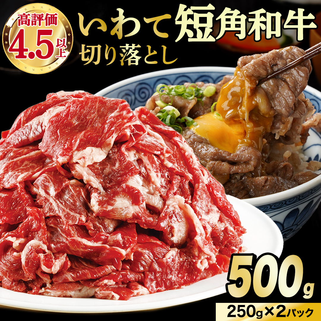 【7月発送】切り落とし 赤身 肉 牛肉 いわて 短角和牛 500g 小分けパック 真空冷凍 | 牛肉 肉 赤身 短角 和牛 国産牛 ブランド牛 切り落し 大容量 牛丼 肉じゃが 煮込み 煮物 小分け 真空パック 数量限定 (AB114-07)