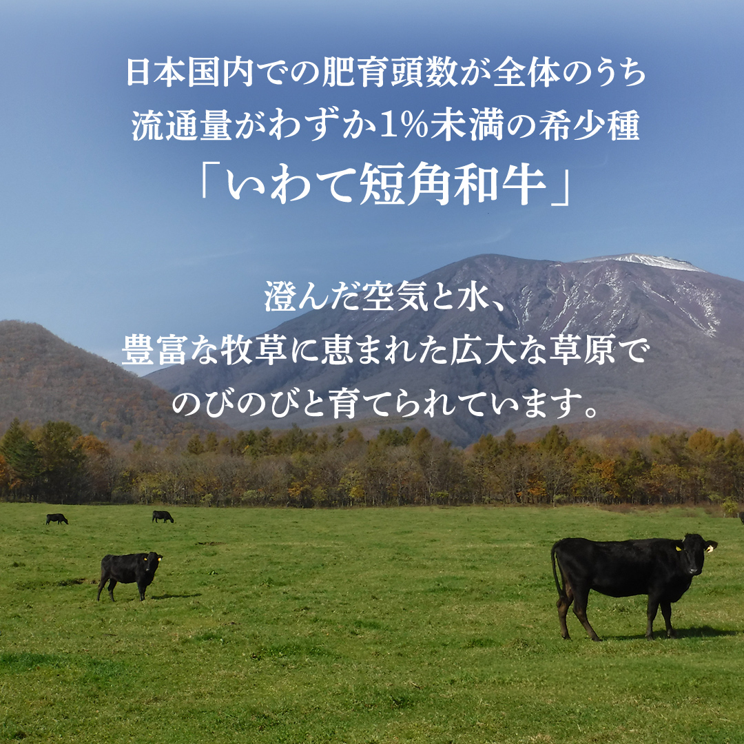 【8月発送】切り落とし 赤身 肉 牛肉 いわて 短角和牛 2kg 2000g 小分けパック 真空冷凍 | 牛肉 肉 赤身 短角 和牛 国産牛 ブランド牛 切り落し 大容量 牛丼 肉じゃが 煮込み 煮物 小分け 真空パック 数量限定 (AB125-08)