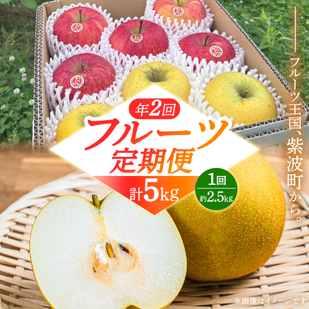フルーツ 定期便【年2回】計 5kg（各約2.5kg） 梨 りんご 和梨 サンふじ シナノゴールド 愛甘水 林檎 リンゴ サンフジ フルーツ なし 果物 くだもの 食べ比べ 定期便 フルーツ定期便 季節 詰め合わせ セット 果物定期便 先行予約 数量限定 2026 令和8年産 農家直送 産地直送 2回定期 デザート 旬 季節の果物 ふるさと納税 2.5kg 岩手県 紫波町 岩手 あいかんすい ナシ (FB001)