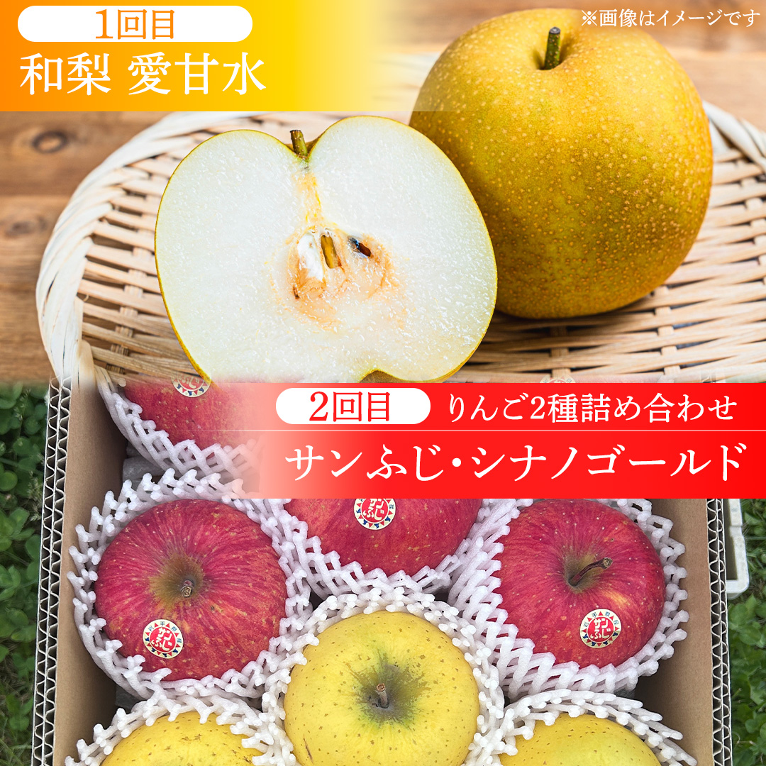 フルーツ 定期便【年2回】計 5kg（各約2.5kg） 梨 りんご 和梨 サンふじ シナノゴールド 愛甘水 林檎 リンゴ サンフジ フルーツ なし 果物 くだもの 食べ比べ 定期便 フルーツ定期便 季節 詰め合わせ セット 果物定期便 先行予約 数量限定 2026 令和8年産 農家直送 産地直送 2回定期 デザート 旬 季節の果物 ふるさと納税 2.5kg 岩手県 紫波町 岩手 あいかんすい ナシ (FB001)