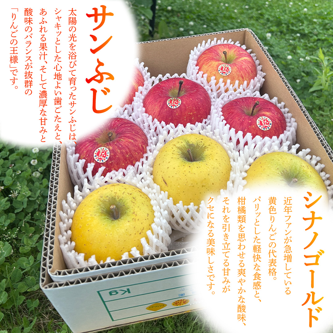 フルーツ 定期便【年2回】計 5kg（各約2.5kg） 梨 りんご 和梨 サンふじ シナノゴールド 愛甘水 林檎 リンゴ サンフジ フルーツ なし 果物 くだもの 食べ比べ 定期便 フルーツ定期便 季節 詰め合わせ セット 果物定期便 先行予約 数量限定 2026 令和8年産 農家直送 産地直送 2回定期 デザート 旬 季節の果物 ふるさと納税 2.5kg 岩手県 紫波町 岩手 あいかんすい ナシ (FB001)