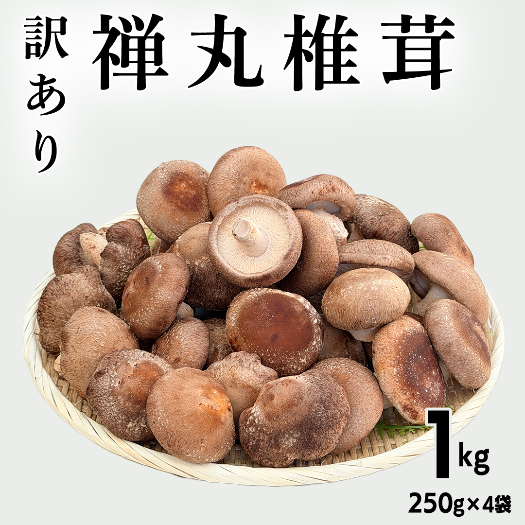 【 訳あり/不揃い 】禅丸椎茸 1kg (250g×4パック) 【岩手県紫波町産】 椎茸 しいたけ 生しいたけ 不揃い 小分け ワケアリ 不揃い 家庭用 シイタケ きのこ キノコ 1kg 250g 生 国産 岩手県 紫波町 食材 (FG001)