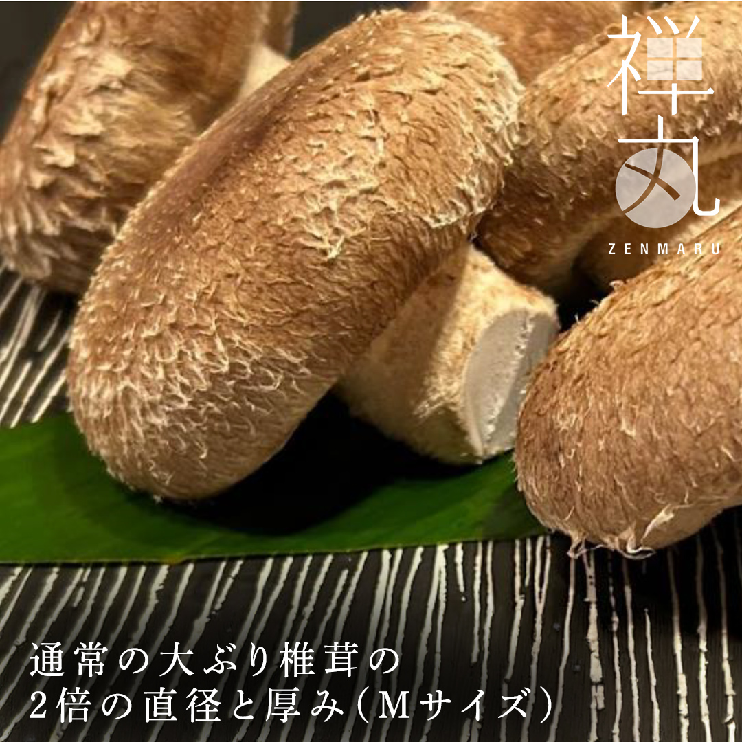 【 訳あり/不揃い 】禅丸椎茸 1kg (250g×4パック) 【岩手県紫波町産】 椎茸 しいたけ 生しいたけ 不揃い 小分け ワケアリ 不揃い 家庭用 シイタケ きのこ キノコ 1kg 250g 生 国産 岩手県 紫波町 食材 (FG001)
