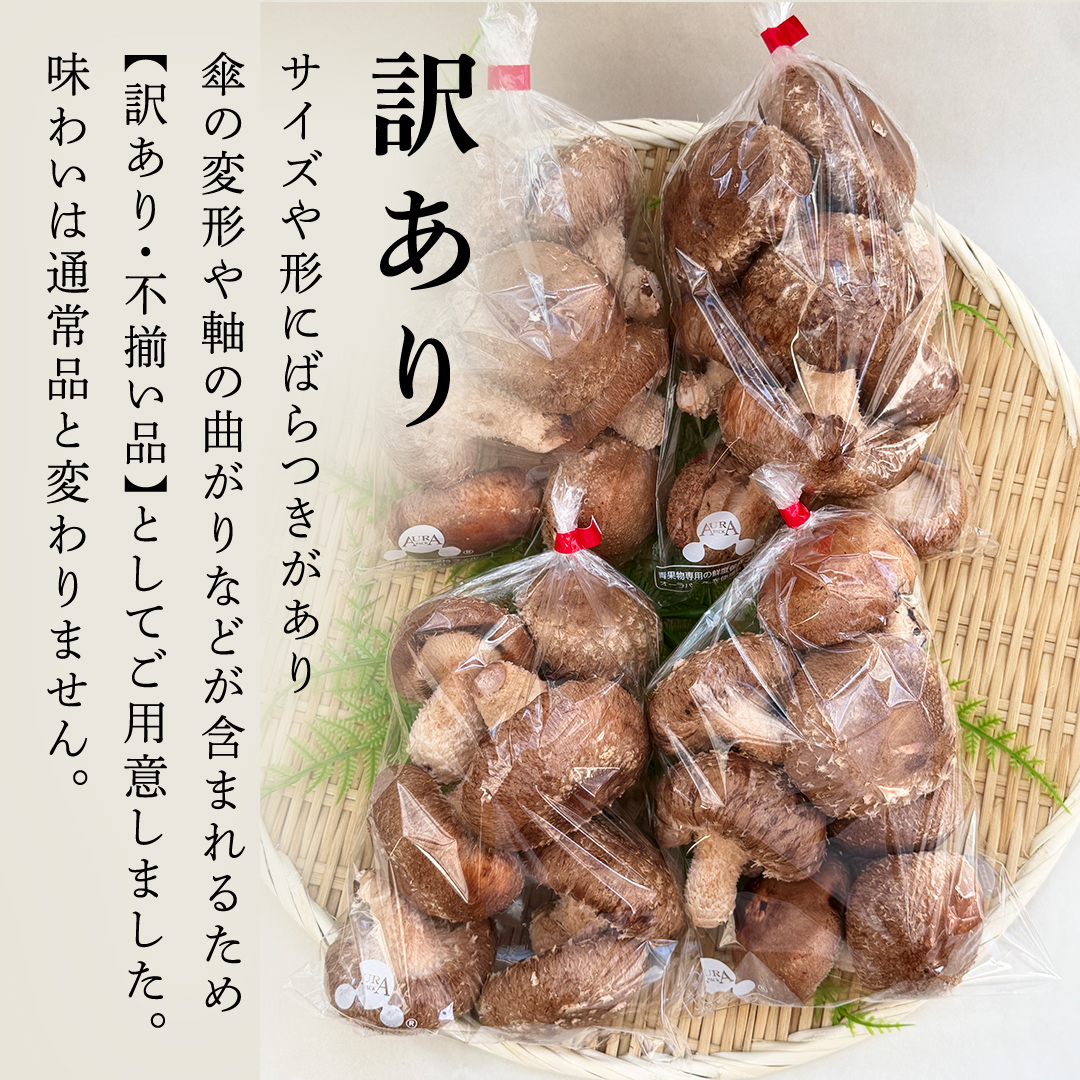 【 訳あり/不揃い 】禅丸椎茸 1kg (250g×4パック) 【岩手県紫波町産】 椎茸 しいたけ 生しいたけ 不揃い 小分け ワケアリ 不揃い 家庭用 シイタケ きのこ キノコ 1kg 250g 生 国産 岩手県 紫波町 食材 (FG001)