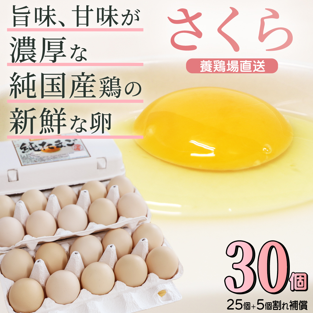 【浅沼養鶏場】卵たまご 卵 玉子 鶏卵 純国産鶏 さくら 純たまご 30個入り 破損保証5個含む 採れたて 新鮮 農地直送 (AJ027)