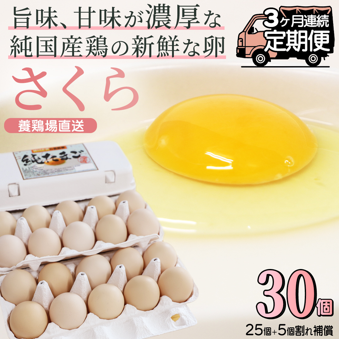 【選べる定期便】たまご 卵 玉子 鶏卵 純国産鶏 さくら 純たまご30個 破損保証5個含む 採れたて 新鮮 卵 農地直送 3ヶ月 定期便 卵料理 卵焼き 卵かけご飯 オムレツ 朝食（AJ028)
