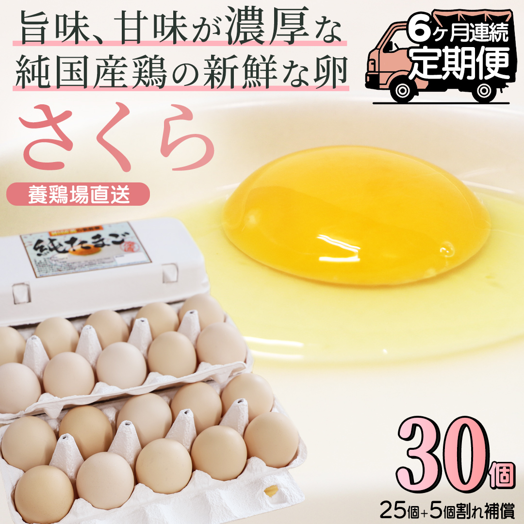【選べる定期便】たまご 卵 玉子 鶏卵 純国産鶏 さくら 純たまご30個 破損保証5個含む 採れたて 新鮮  農地直送6ヶ月 定期便 卵料理 卵焼き 卵かけご飯 オムレツ 朝食 (AJ029)