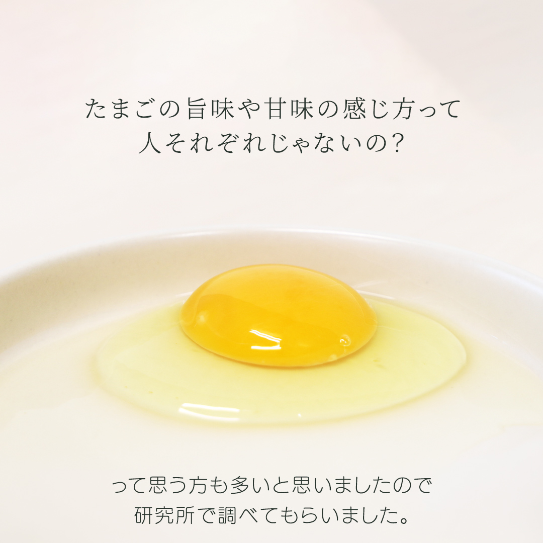 【選べる定期便】たまご 卵 玉子 鶏卵 純国産鶏 さくら 純たまご30個 破損保証5個含む 採れたて 新鮮 農地直送 12ヶ月 定期便 卵料理 卵焼き 卵かけご飯 オムレツ 朝食】 (AJ030)