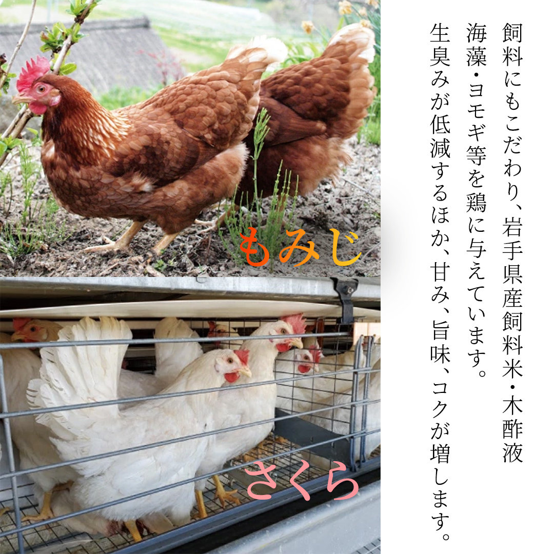 【選べる定期便】卵 玉子 鶏卵 純国産鶏【さくらともみじ】3ヶ月 定期便 たまご 純たまご30個 破損保証5個含む 採れたて 新鮮 農地直送 (AJ032)
