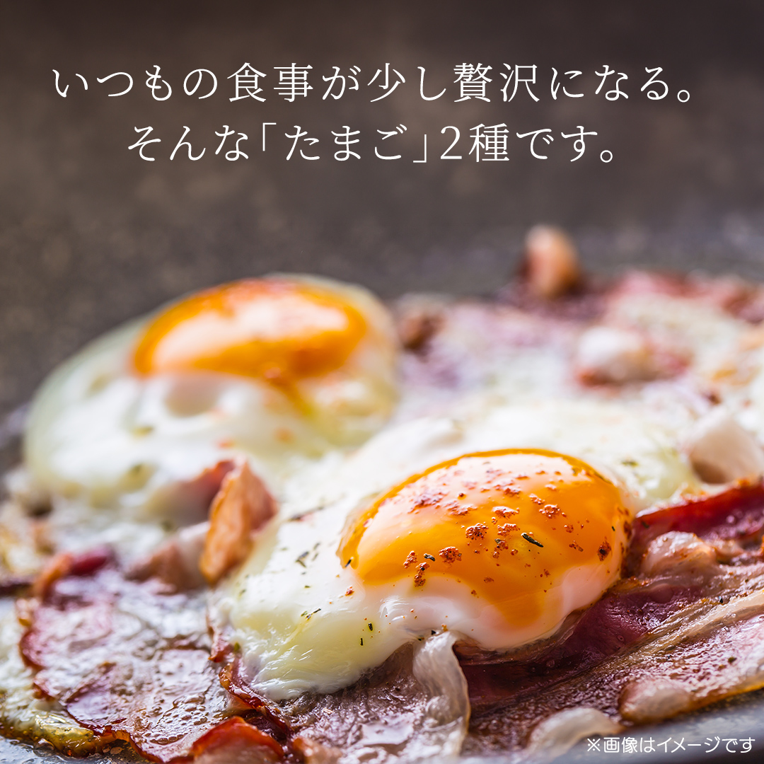 【選べる定期便】卵 玉子 鶏卵 純国産鶏【さくらともみじ】3ヶ月 定期便 たまご 純たまご30個 破損保証5個含む 採れたて 新鮮 農地直送 (AJ032)