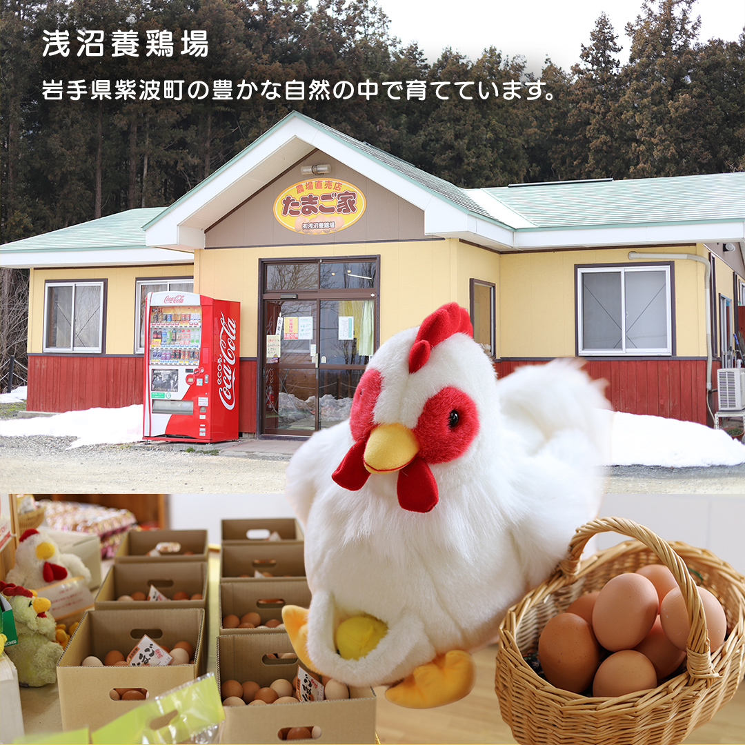 【選べる定期便】卵 玉子 鶏卵 純国産鶏【さくらともみじ】12ヶ月 定期便 たまご 純たまご30個 破損保証5個含む 採れたて 新鮮 農地直送 (AJ034)