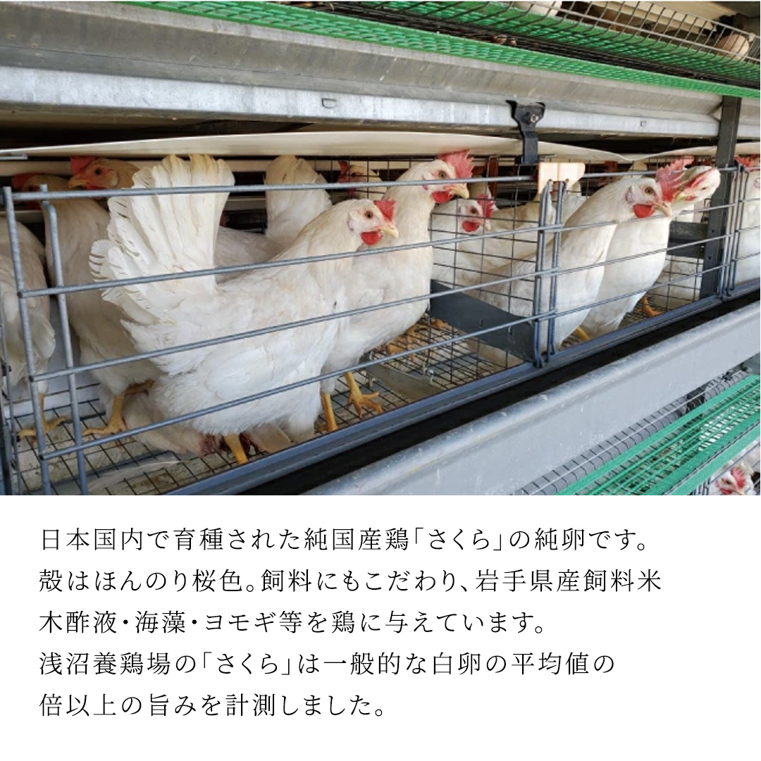 純国産鶏【さくら】純たまご 50個入り 破損保証5個を含む たまご 卵 玉子 鶏卵 純たまご 採れたて 新鮮 卵 農地直送 産地直送 岩手県 (AJ035)
