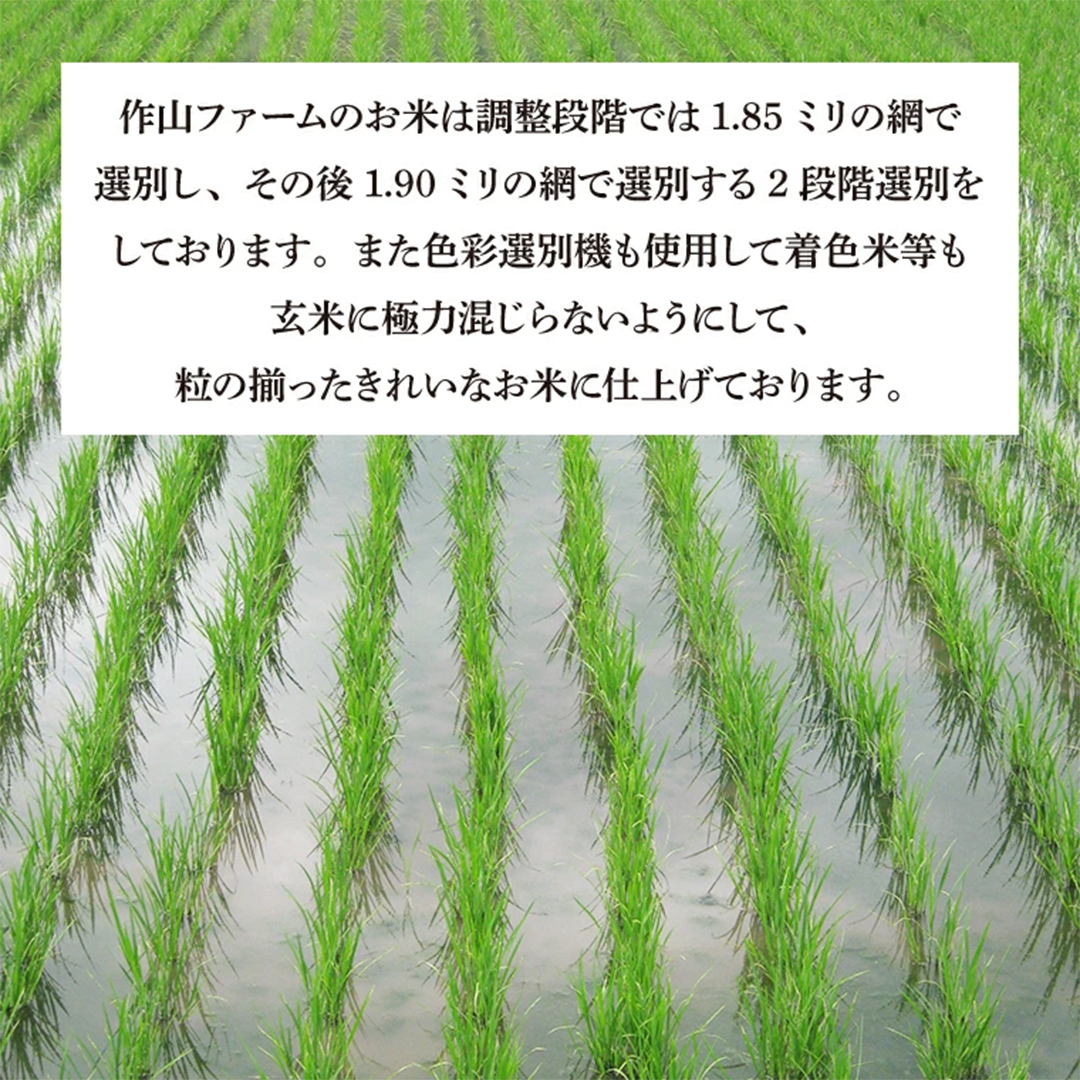 【最短3営業日発送】【生産者応援】 完熟夕陽米 (精白米) 5kg ひとめぼれ 特別栽培米 令和7年産 生産農家直送  米 産地直送 こめ 精米 白米 ご飯 夕陽米 岩手県 特別栽培 農家直送 事業者応援 生産者支援 日常使い (CP037)