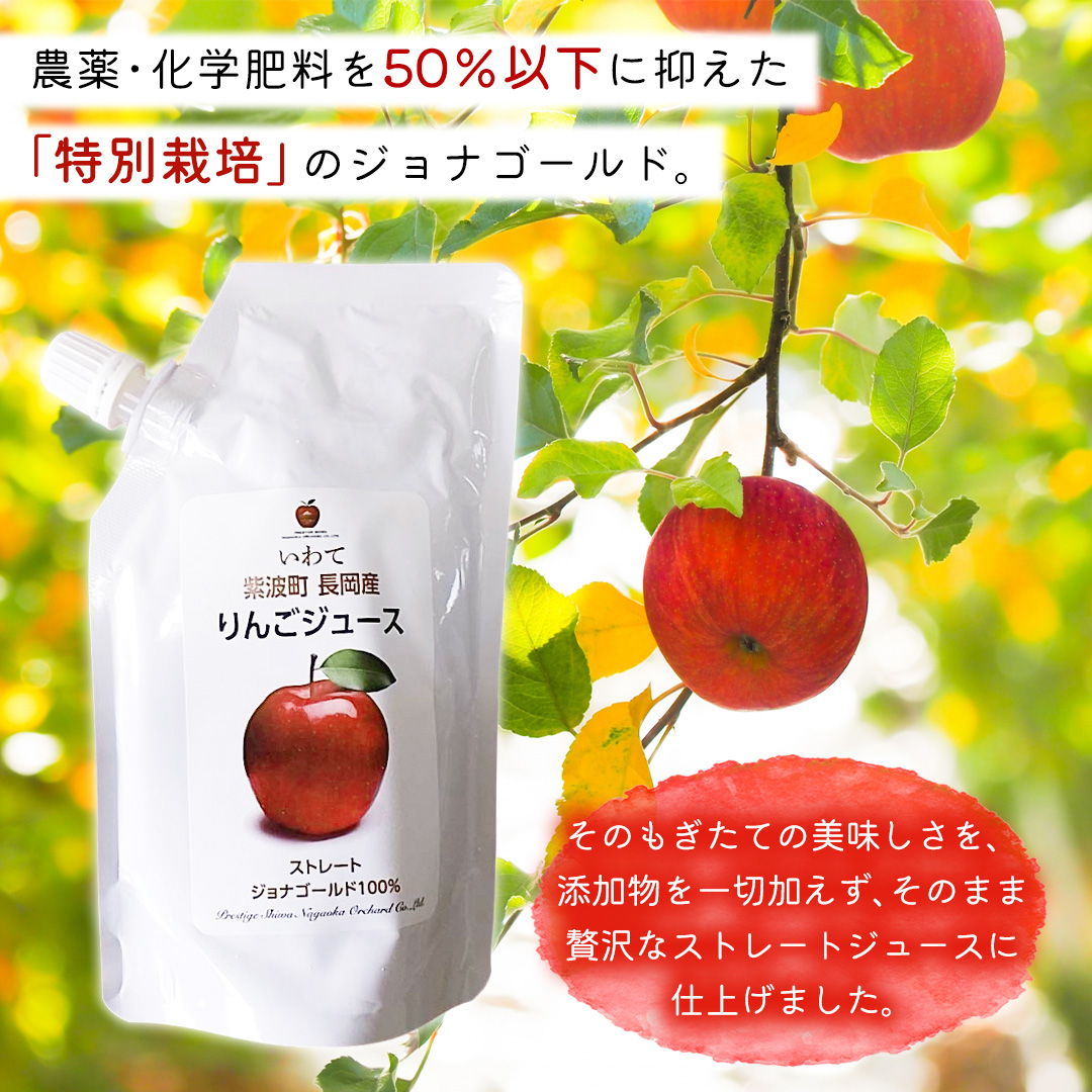 無添加 りんごジュース ストレート「ジョナゴールド」200g×10個 特別栽培 パウチ リンゴジュース ジュース りんご リンゴ 林檎 アップルジュース 果実飲料 フルーツジュース 10個 詰め合わせ 岩手県 紫波町 長岡産 ジョナゴールド ドリンク 飲料 セット 飲み物 果物 [FH004]