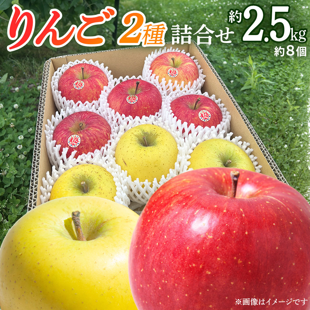 りんご 2種 詰め合わせ 約2.5kg りんご サンふじ シナノゴールド  林檎 リンゴ サンフジ フルーツ 果物 くだもの 食べ比べ 先行予約 数量限定 2026 令和8年産 農家直送 産地直送 デザート 旬 季節の果物 ふるさと納税 2.5kg 岩手県 紫波町 岩手 (FB002)