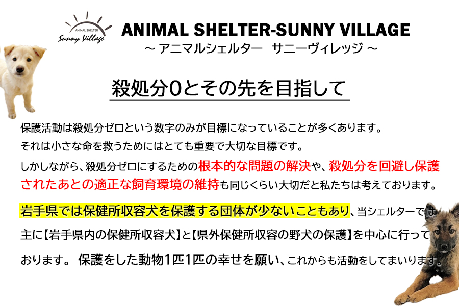 【お礼品なし】殺処分ゼロとその先を目指して！　動物保護シェルターへの応援寄附　500,000円