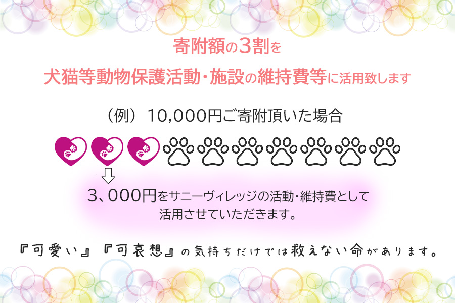 【お礼品なし】殺処分ゼロとその先を目指して！　動物保護シェルターへの応援寄附　30,000円