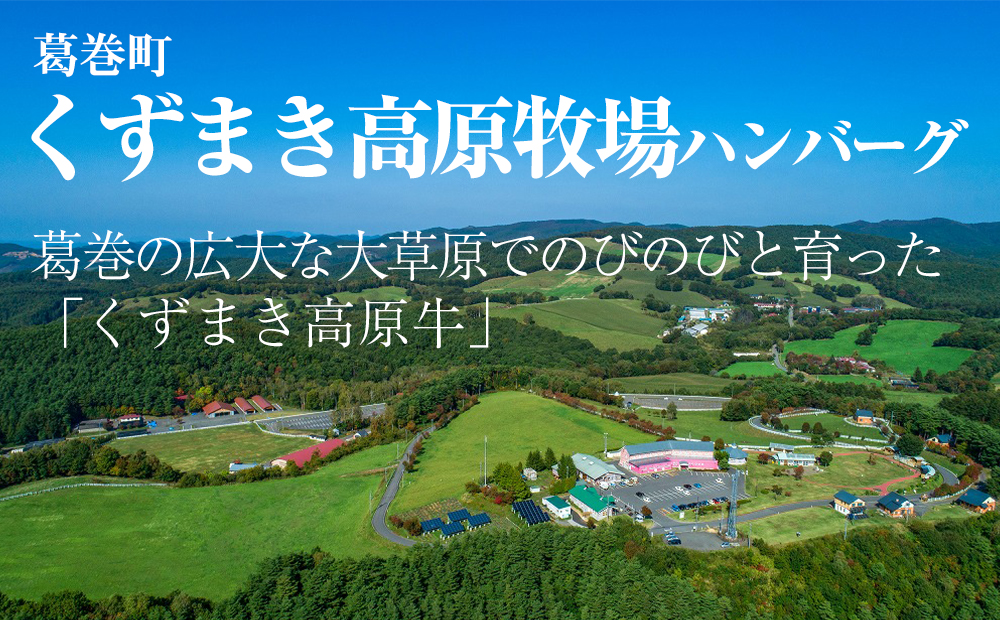 岩手県　矢巾町と葛巻町の人気返礼品 ハンバーグの食べ比べ合計8個