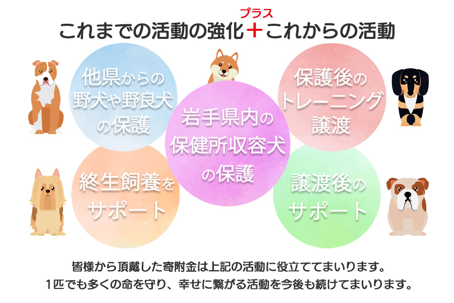 【お礼品なし】殺処分ゼロとその先を目指して！　動物保護シェルターへの応援寄附　30,000円