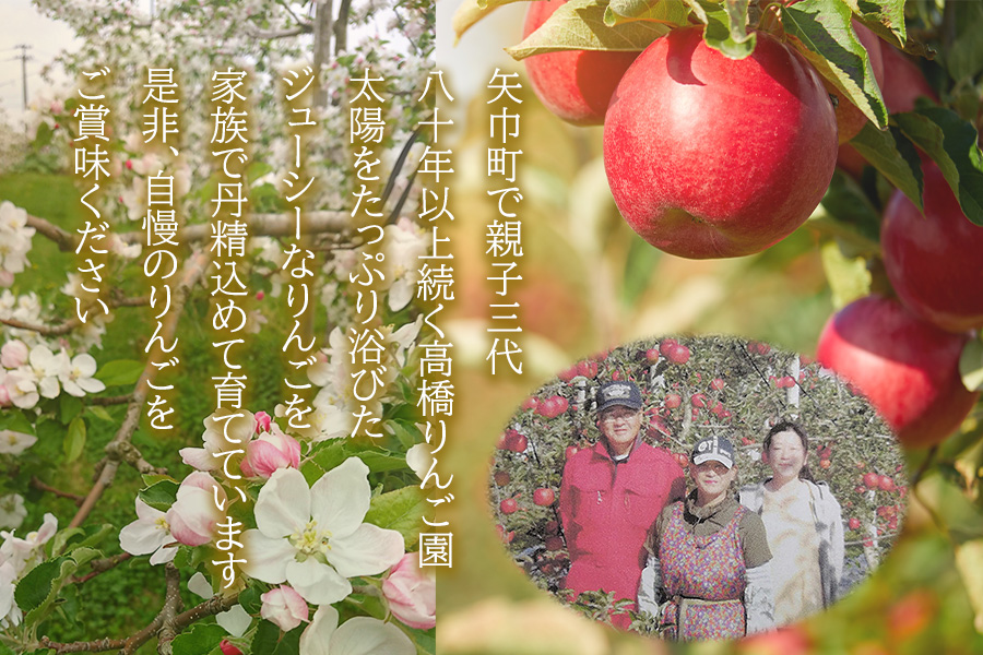 高橋りんご園　『サンふじ』5kg(12～14玉)　フルーツキャップ付き　贈答用にもオススメ！