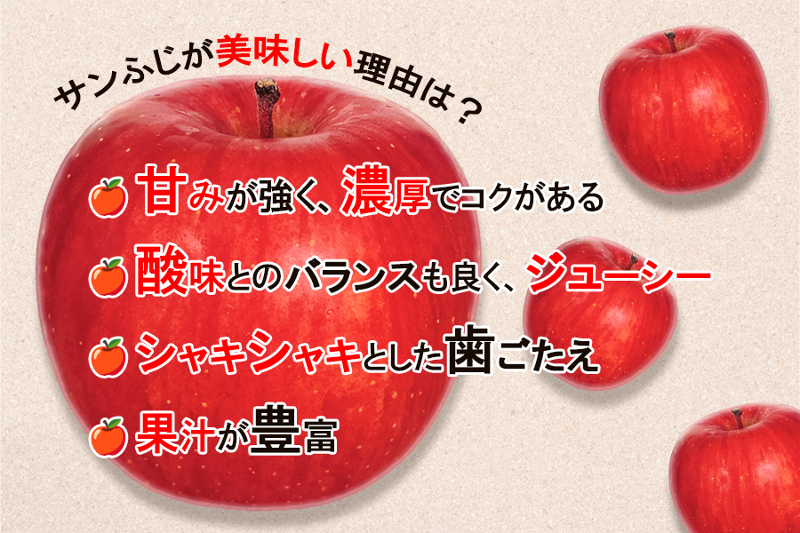 高橋りんご園　『サンふじ』5kg(12～14玉)　フルーツキャップ付き　贈答用にもオススメ！