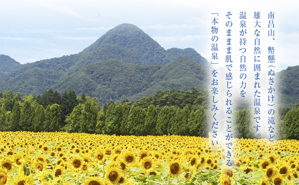 矢巾温泉『南昌の湯』入浴回数券(10回分)×5冊セット