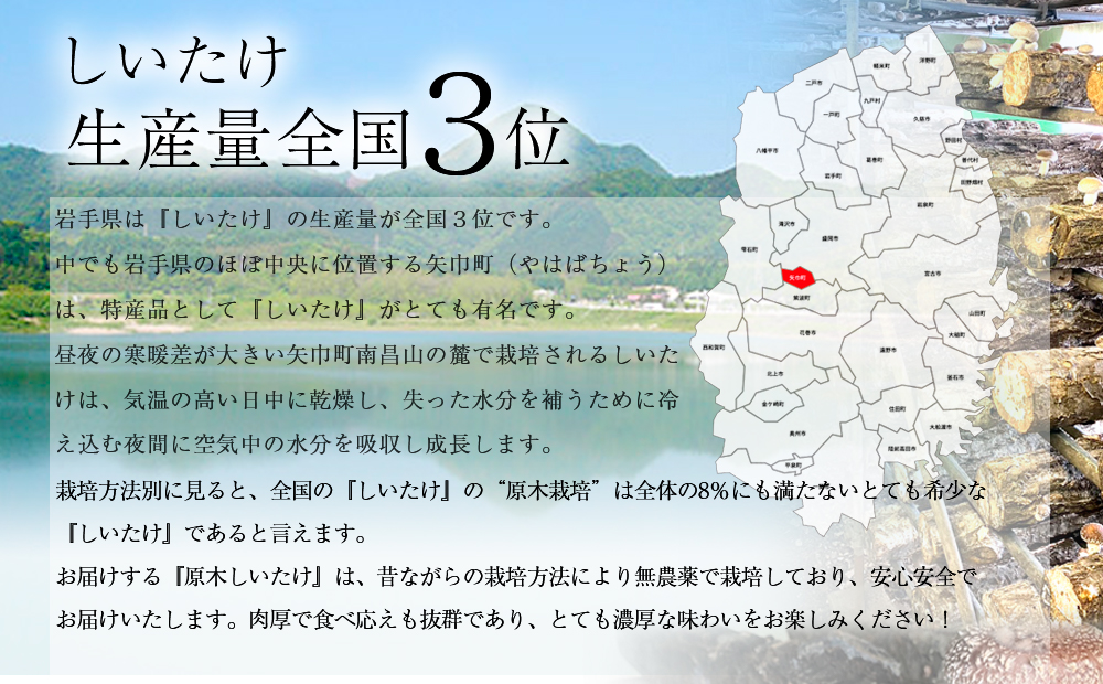 2025年3月発送　希少！原木しいたけ「生椎茸」1kg