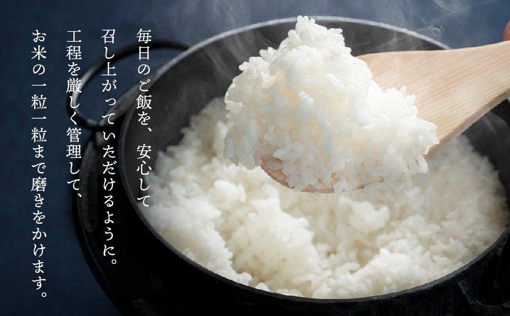 令和8年産　純情米いわて　岩手県産　さくらひとめぼれ　10kg