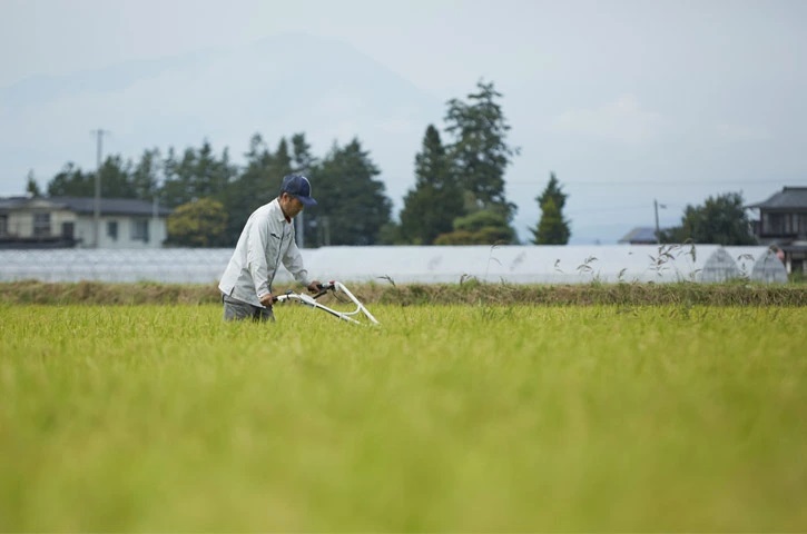 【定期便】令和6年産　岩手県矢巾町　ひとめぼれ精米10kg×10ヵ月