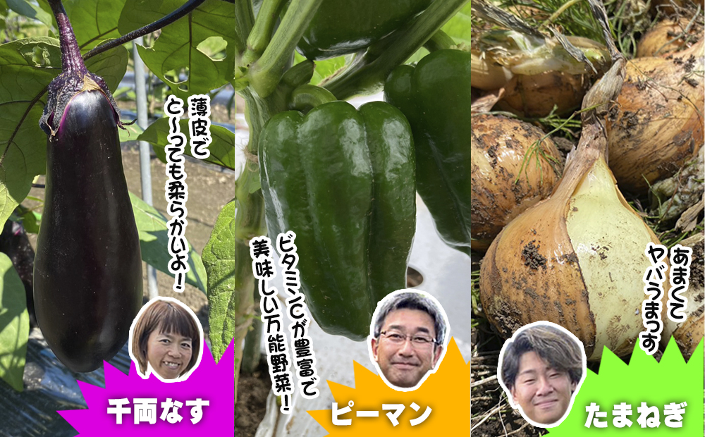 数量限定　矢巾町産　秋野菜セット【10種】9月発送