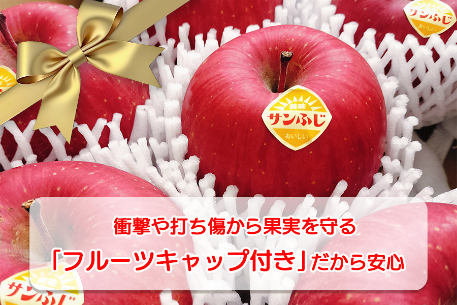 高橋りんご園　『サンふじ』3kg(8～10玉)　フルーツキャップ付き　贈答用にもオススメ！