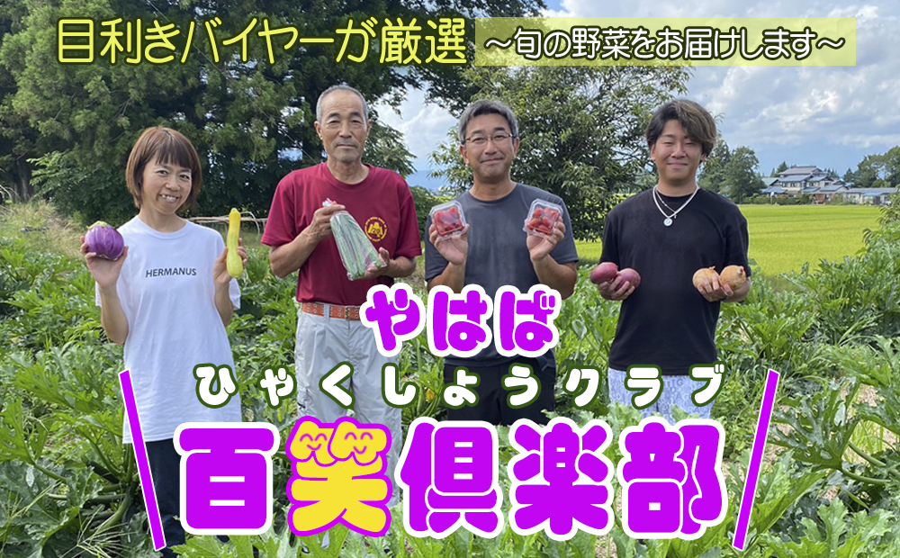 数量限定　矢巾町産　夏野菜セット【10種】8月発送