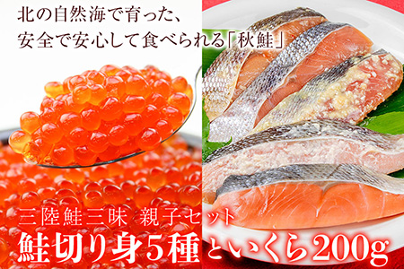 鮭三昧　親子セット　鮭切り身５種10パックとイクラ200g