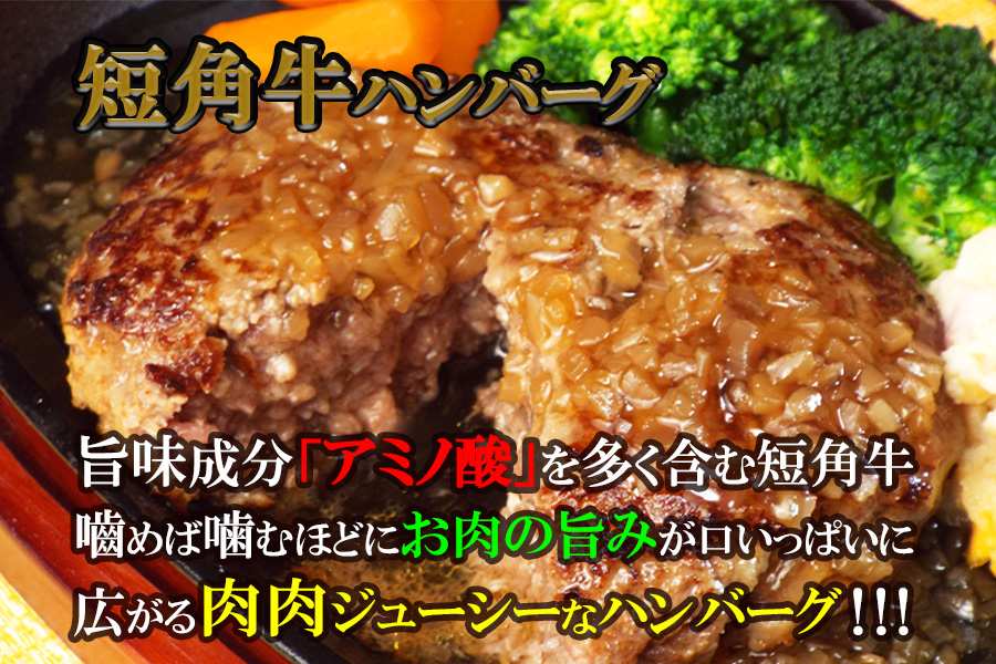 『極・塩ハンバーグ前沢牛100％』140ｇ×3個と『短角牛ハンバーグ』150ｇ×3個ビーフ100％ハンバーグの食べ比べセット　計6個