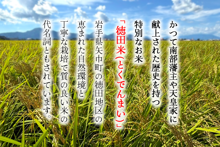 令和7年産　素材の味を引き立てるカラダにやさしいお米　徳田米　ササニシキ玄米　30kg