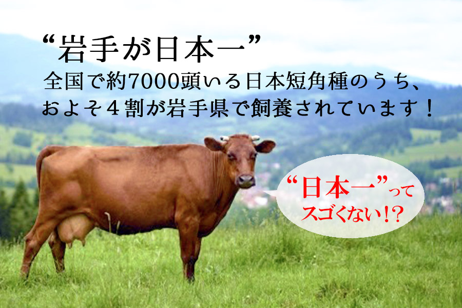 短角牛ハンバーグ　ビーフ100％！　150ｇ×4個